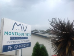 Montague Vets